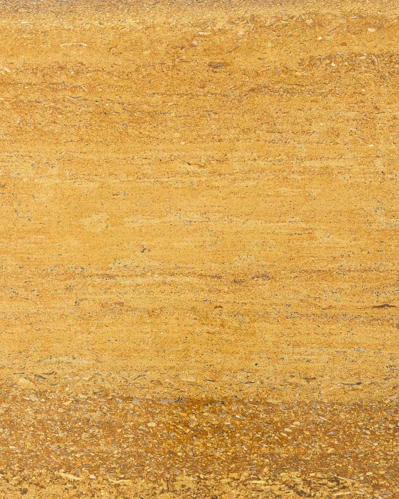 Tiger skin